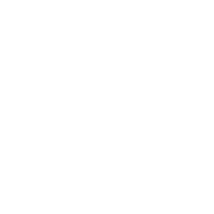 Zertifikat geprüfte Website - gültig bis 12/2025